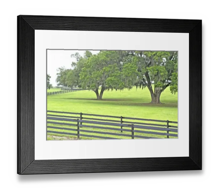 Framed Print : USA, North America, Florida