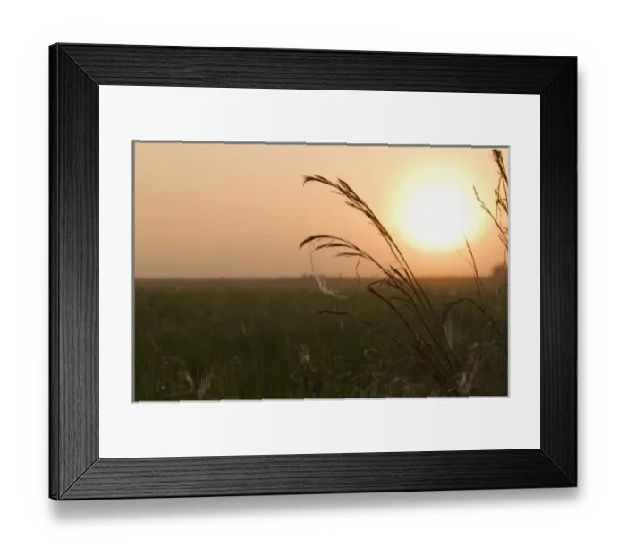 Framed Print : USA, North America, Florida