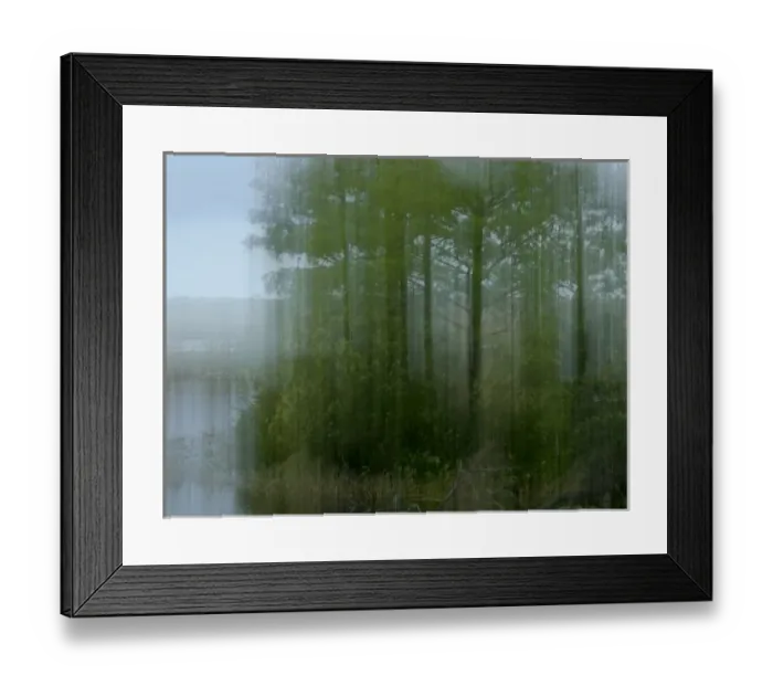 Framed Print : Cypress at edge of wetland, Loxahatchee NWR, Florida Framed Print : Cypress at edge of wetland, Loxahatchee NWR, Florida