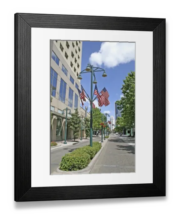 Framed Print : American flags on Magnolia Avenue, downtown Orlando, Florida Framed Print : American flags on Magnolia Avenue, downtown Orlando, Florida