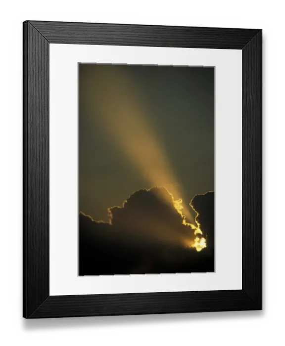 Framed Print : USA, Florida, Miami. Sunbeam