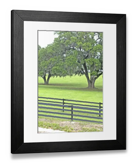 Framed Print : USA, North America, Florida Framed Print : USA, North America, Florida
