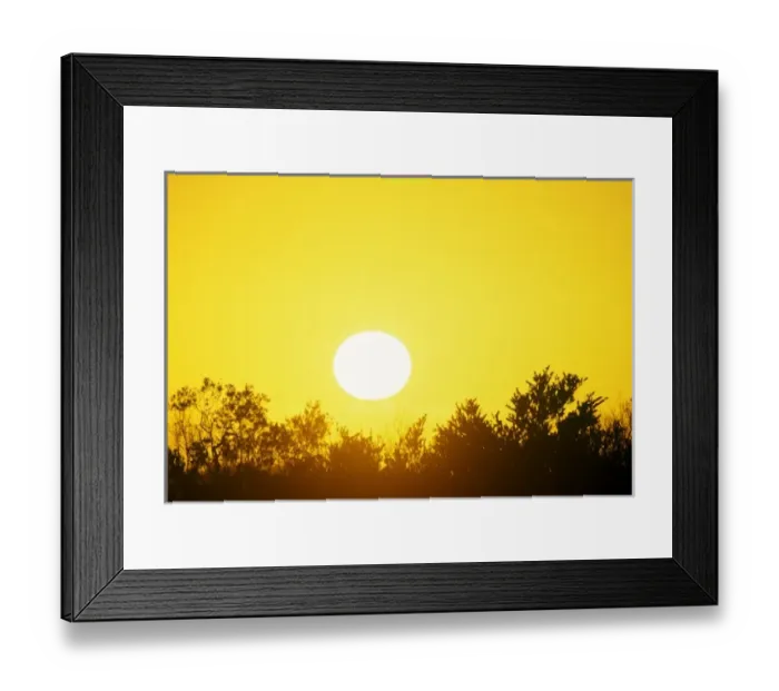 Framed Print : USA, North America, Florida Framed Print : USA, North America, Florida