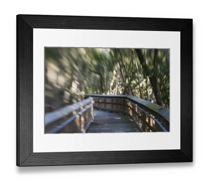 Framed Print : USA, Florida, Miami: Deering Estate at Cutler, One Time Home of Charles Deering, now a museum Framed Print : USA, Florida, Miami: Deering Estate at Cutler, One Time Home of Charles Deering, now a museum