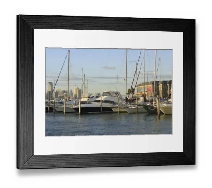 Framed Print : USA, North America, Florida Framed Print : USA, North America, Florida