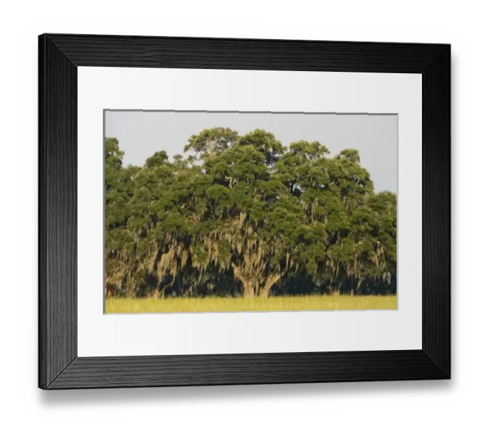 Framed Print : USA, North America, Florida Framed Print : USA, North America, Florida