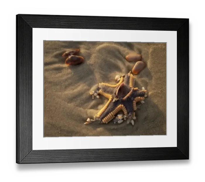 Framed Print : Sunrise, beaches at Anastasia State Park, south of St. Augustine, Florida Framed Print : Sunrise, beaches at Anastasia State Park, south of St. Augustine, Florida