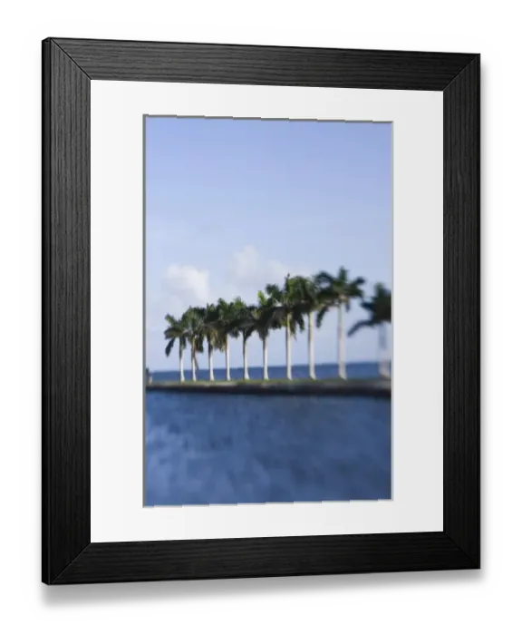 Framed Print : USA, Florida, Miami: Deering Estate at Cutler, One Time Home of Charles Deering, now a museum Framed Print : USA, Florida, Miami: Deering Estate at Cutler, One Time Home of Charles Deering, now a museum