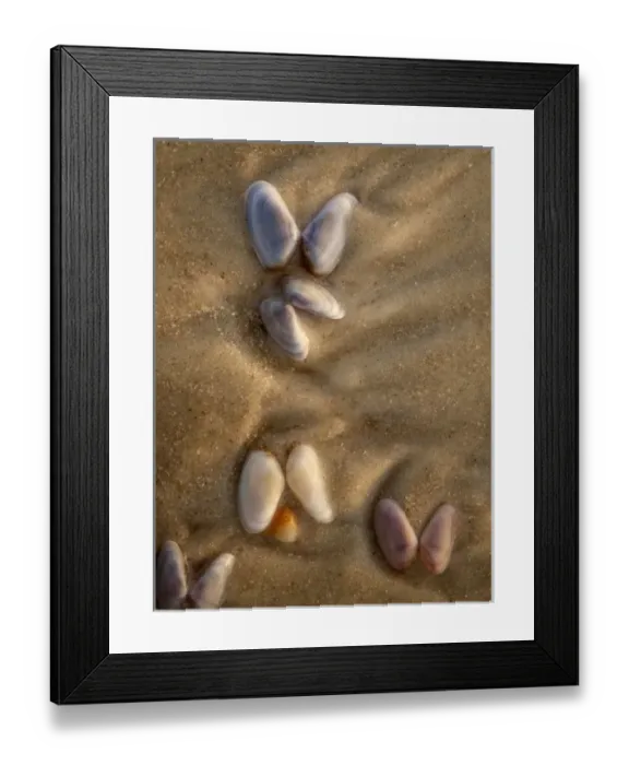 Framed Print : Sunrise, beaches at Anastasia State Park, south of St. Augustine, Florida Framed Print : Sunrise, beaches at Anastasia State Park, south of St. Augustine, Florida