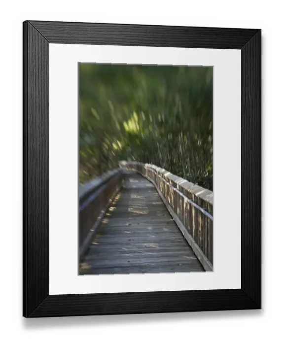 Framed Print : USA, Florida, Miami: Deering Estate at Cutler, One Time Home of Charles Deering, now a museum Framed Print : USA, Florida, Miami: Deering Estate at Cutler, One Time Home of Charles Deering, now a museum