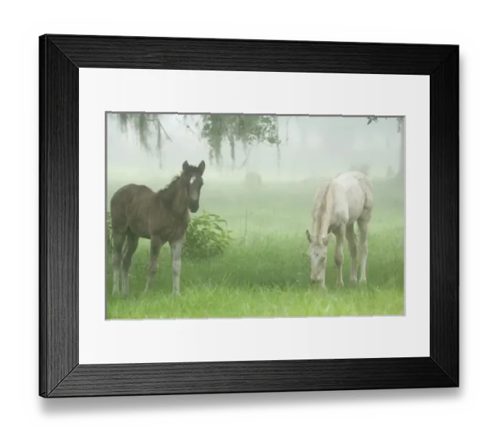 Framed Print : USA, North America, Florida Framed Print : USA, North America, Florida