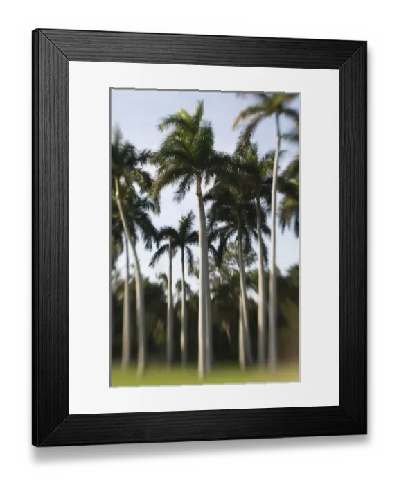 Framed Print : USA, Florida, Miami: Deering Estate at Cutler, One Time Home of Charles Deering, now a museum Framed Print : USA, Florida, Miami: Deering Estate at Cutler, One Time Home of Charles Deering, now a museum