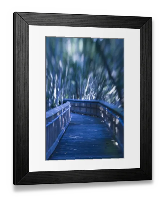 Framed Print : USA, Florida, Miami: Deering Estate at Cutler, One Time Home of Charles Deering, now a museum Framed Print : USA, Florida, Miami: Deering Estate at Cutler, One Time Home of Charles Deering, now a museum