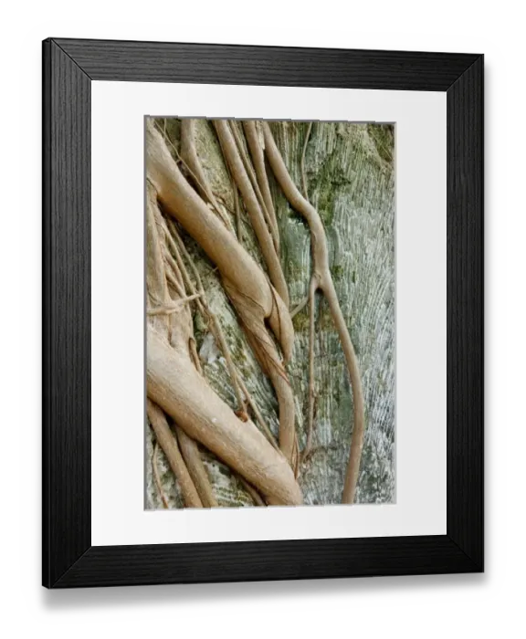Framed Print : USA, North America, Florida Framed Print : USA, North America, Florida