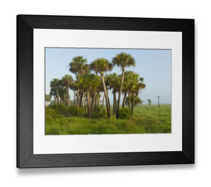 Framed Print : USA, North America, Florida Framed Print : USA, North America, Florida