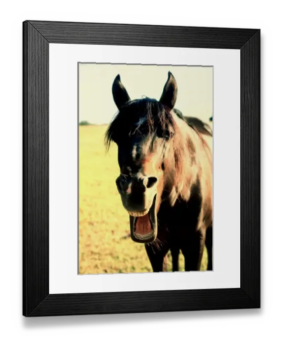 Framed Print : USA, North America, Florida Framed Print : USA, North America, Florida