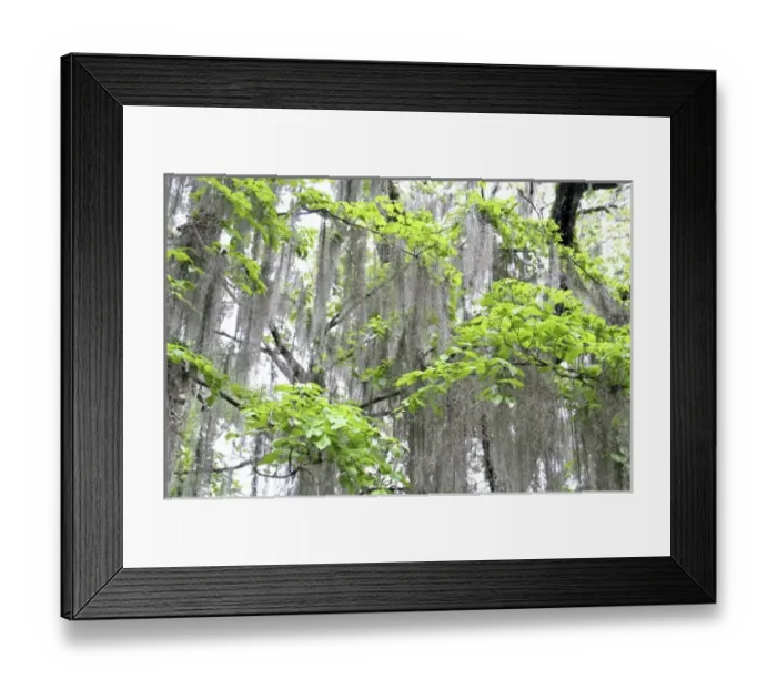 Framed Print : USA, North America, Florida Framed Print : USA, North America, Florida