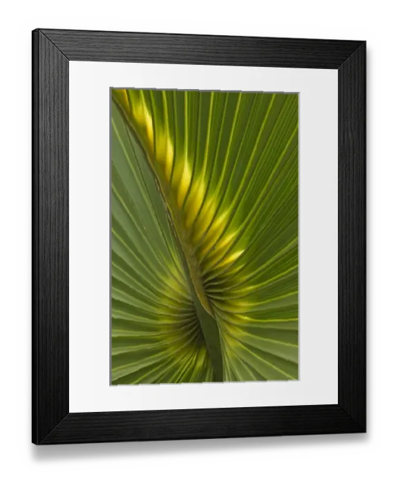 Framed Print : USA, North America, Florida Framed Print : USA, North America, Florida