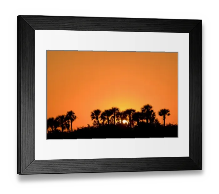 Framed Print : USA, North America, Florida Framed Print : USA, North America, Florida