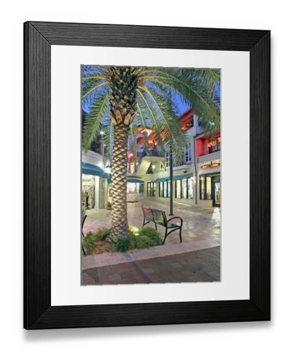 Framed Print : USA, North America, Florida Framed Print : USA, North America, Florida