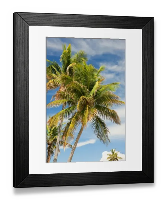 Framed Print : USA, North America, Florida