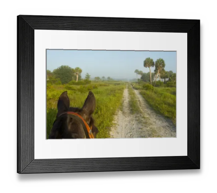 Framed Print : USA, North America, Florida Framed Print : USA, North America, Florida