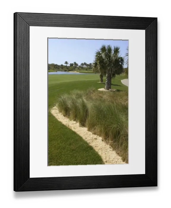 Framed Print : USA, North America, Florida Framed Print : USA, North America, Florida