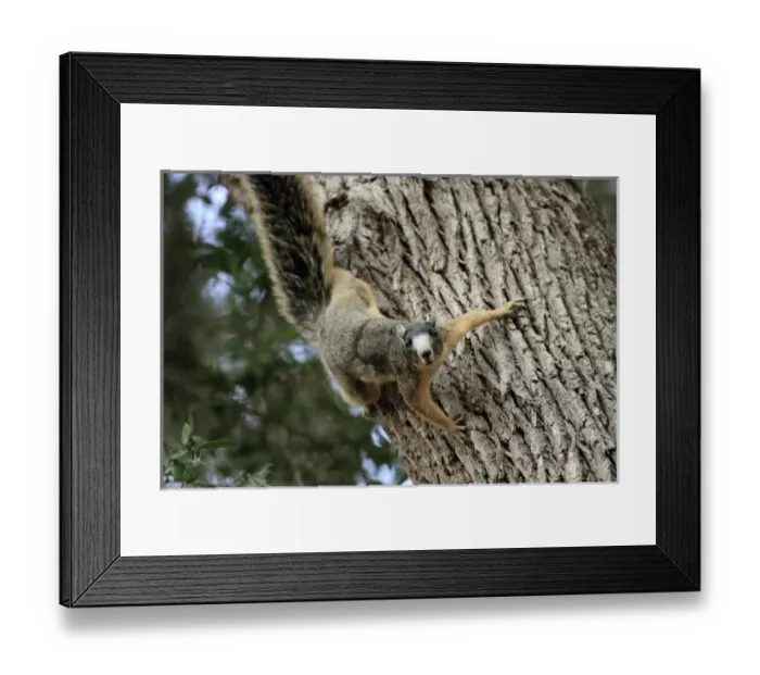 Framed Print : USA, North America, Florida Framed Print : USA, North America, Florida