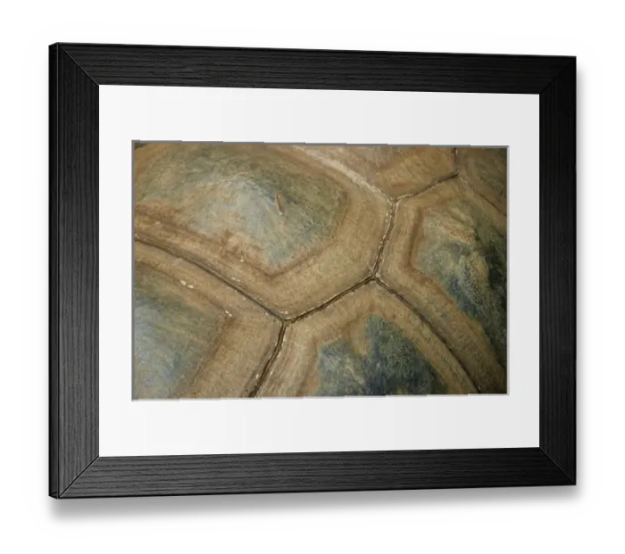 Framed Print : USA, North America, Florida Framed Print : USA, North America, Florida