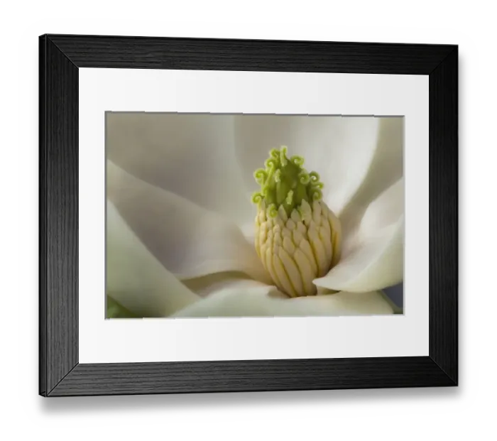 Framed Print : Nature, Flora