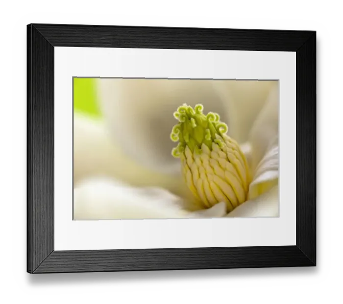 Framed Print : Nature, Flora