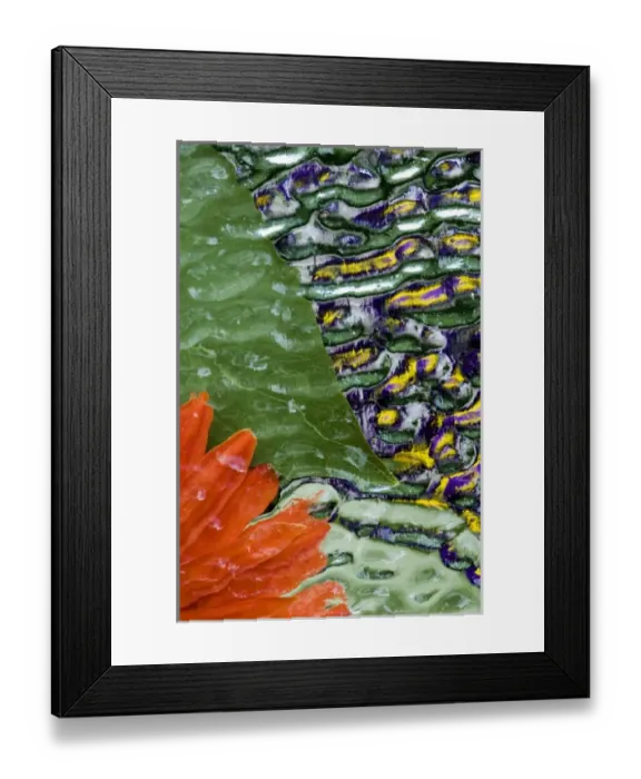 Framed Print : Flowers and leaves in pattern under glass Framed Print : Flowers and leaves in pattern under glass
