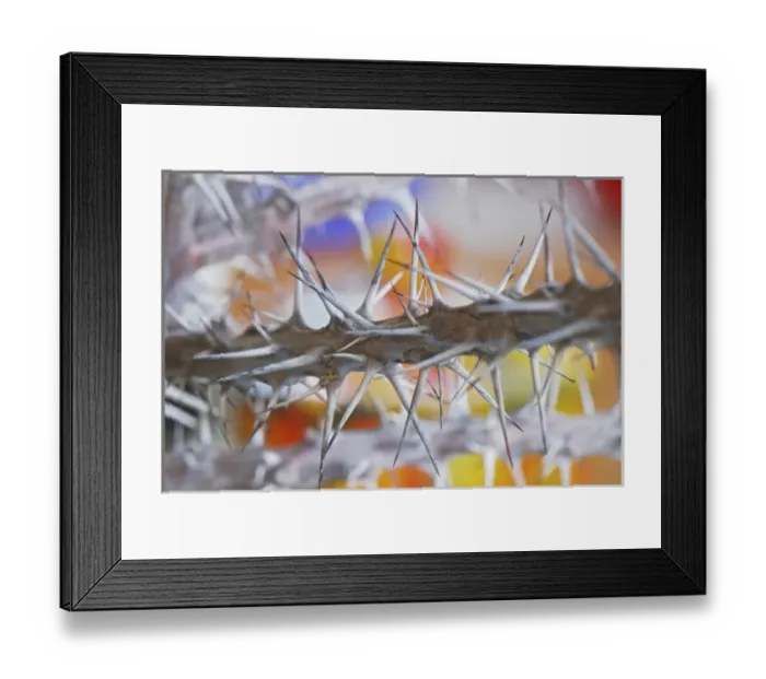 Framed Print : Nature, Flora Framed Print : Nature, Flora