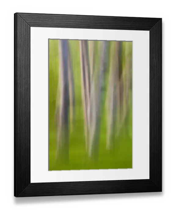 Framed Print : Nature, Flora Framed Print : Nature, Flora