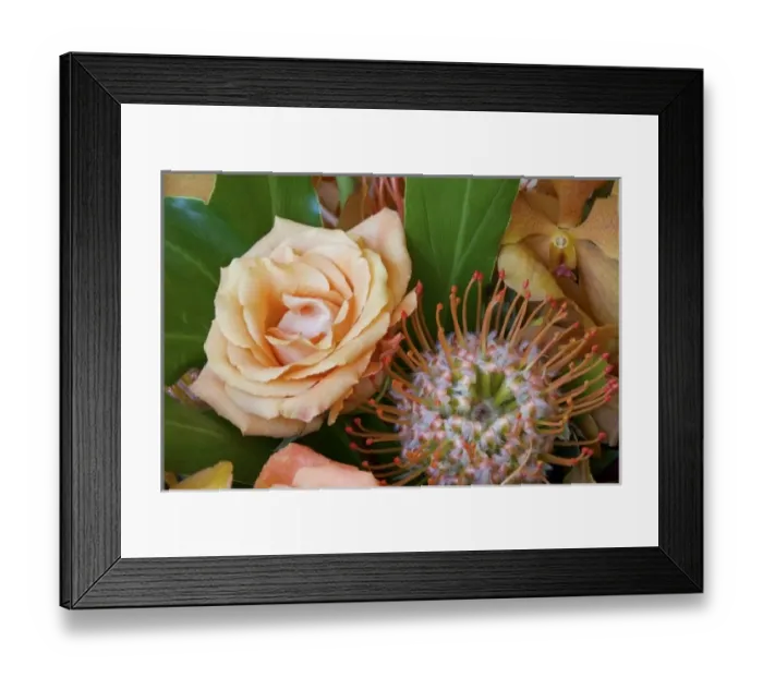 Framed Print : Flower arrangement with rose, orchid, and protea blossoms Framed Print : Flower arrangement with rose, orchid, and protea blossoms