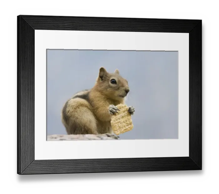 Framed Print : Nature, Flora