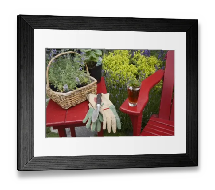 Framed Print : Ice tea rests on red chair while gardening Framed Print : Ice tea rests on red chair while gardening