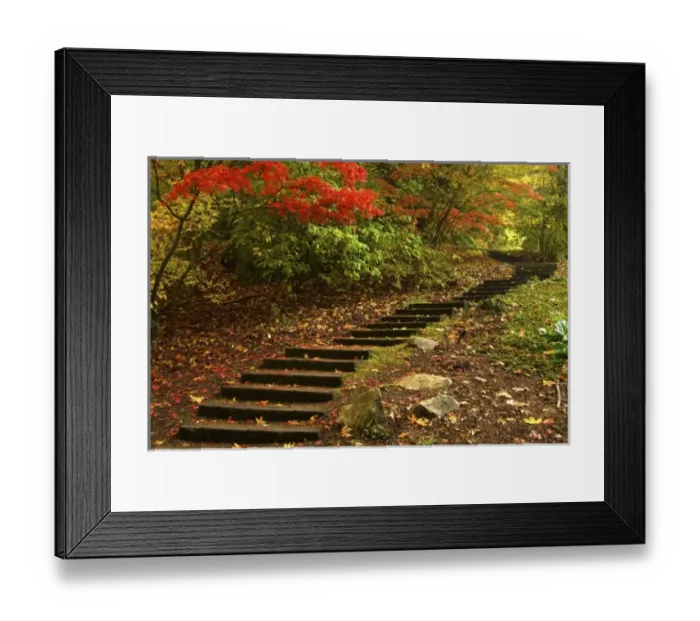 Framed Print : Path through a park in Autumn Framed Print : Path through a park in Autumn