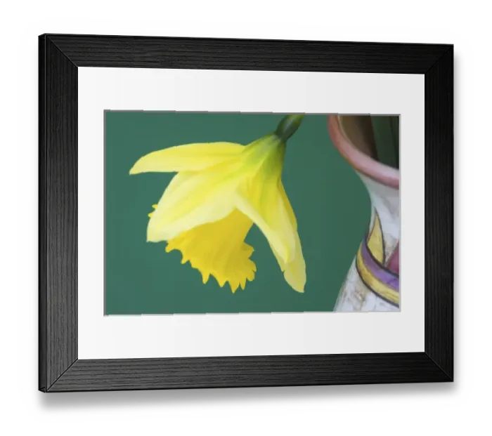 Framed Print : Nature, Flora Framed Print : Nature, Flora