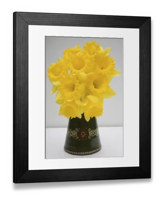 Framed Print : Yellow daffodils