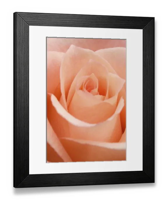 Framed Print : Nature, Flora