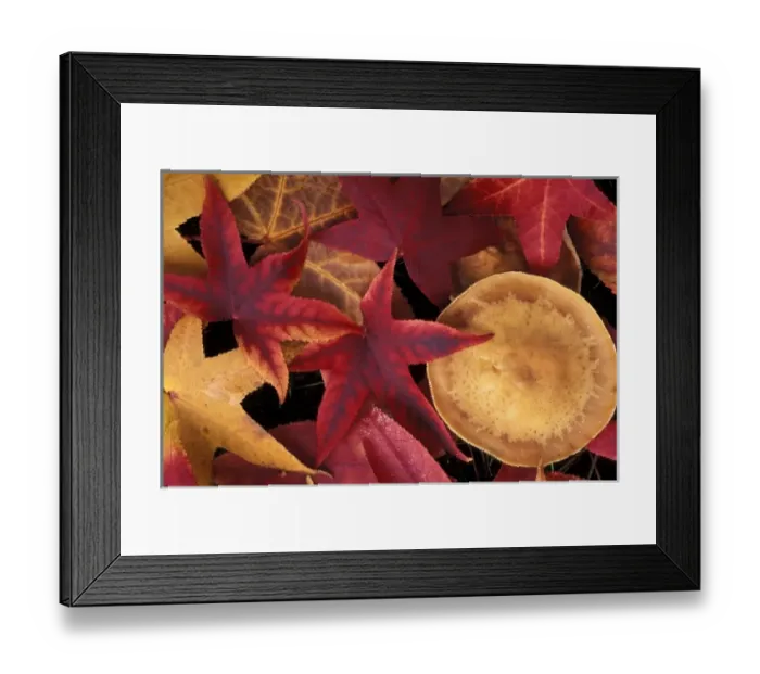 Framed Print : Fall leaves and mushroom