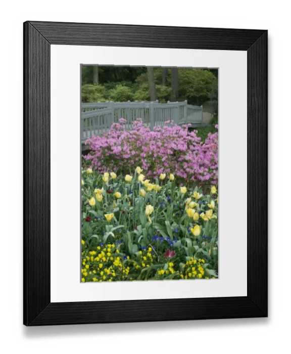 Framed Print : Nature, Flora