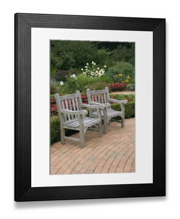 Framed Print : Nature, Flora Framed Print : Nature, Flora