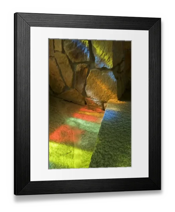Framed Print : Nature, Flora Framed Print : Nature, Flora
