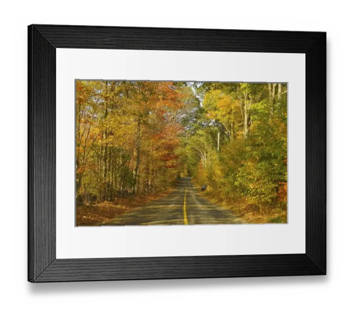 Framed Print : North America, USA, New England. A rural road in New England under a canopy of fall foliage Framed Print : North America, USA, New England. A rural road in New England under a canopy of fall foliage