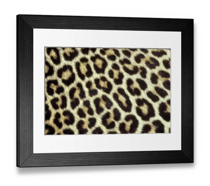 Framed Print : Nature, Fauna Framed Print : Nature, Fauna