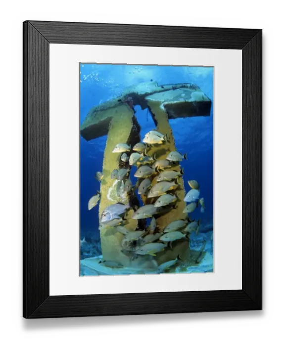 Framed Print : Jesus cross Cancun Mexico