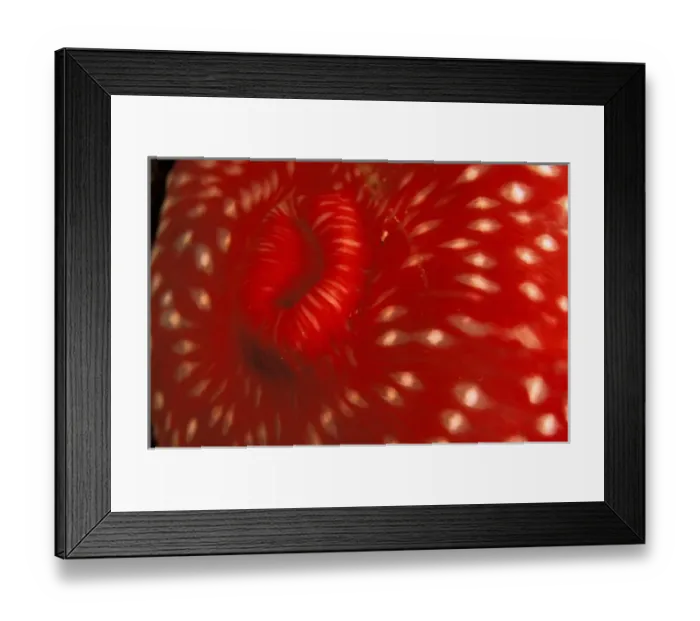 Framed Print : United States of America, California. Anemone Framed Print : United States of America, California. Anemone