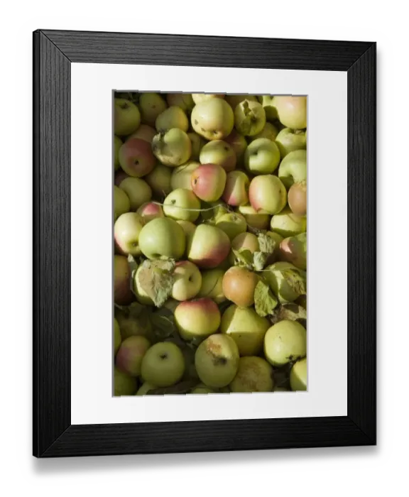 Framed Print : USA, North America, Oregon Framed Print : USA, North America, Oregon